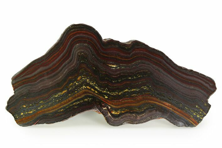 Polished Tiger Iron Stromatolite Slab - Billion Years #351909
